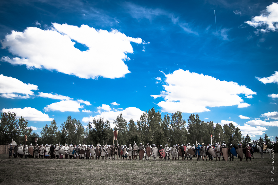 Muret 1213 2013 (17 sur 63)